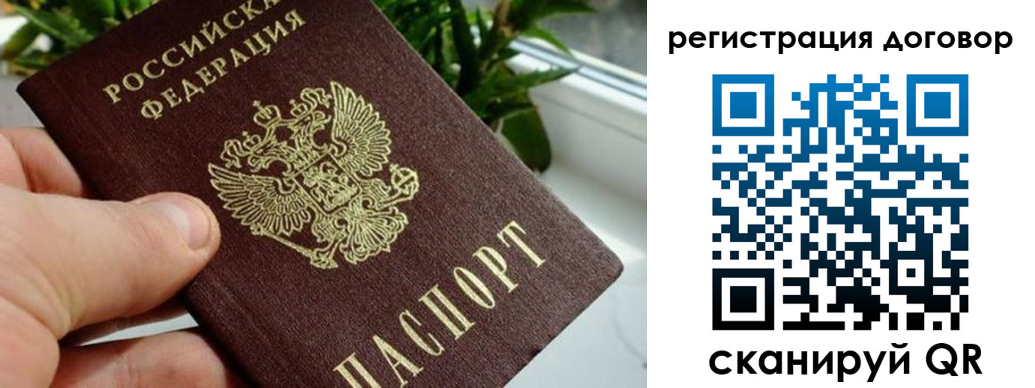 прописка ребенка в Берёзовском
